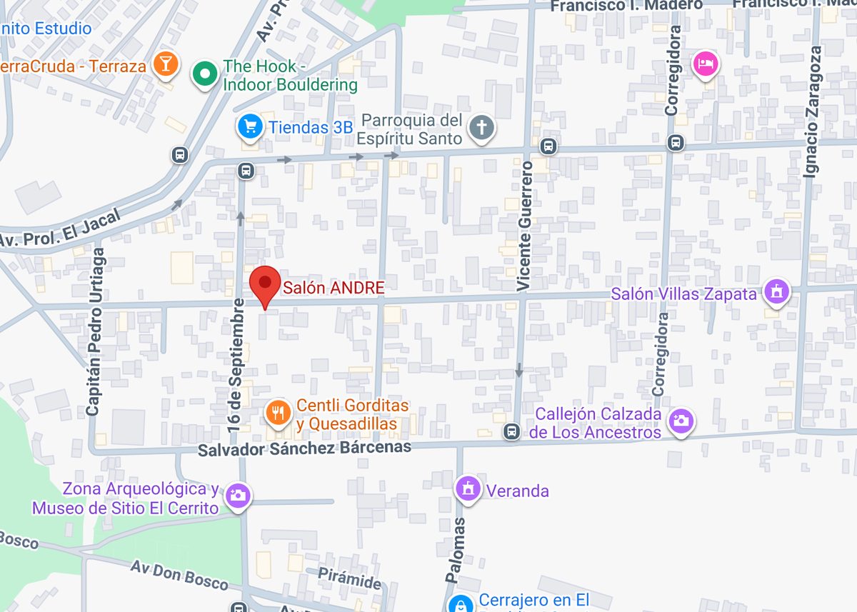 Mapa con la ubicación de Salón ANDRE sobre Benito Juárez, colonia Emiliano Zapata